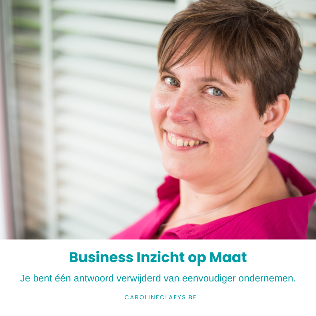 Business Inzicht op Maat - CarolineClaeys.be